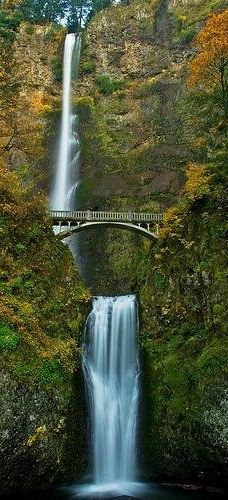 哥伦比亚河峡谷国家风景区-斯卡梅尼亚县