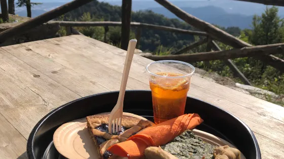 Campocecina