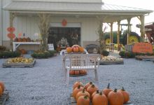 Gail's Pumpkin Patch, LLC景点图片