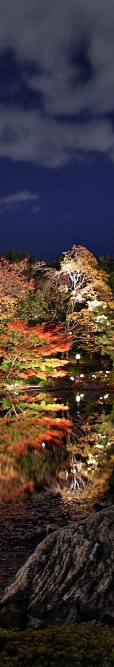 白鸟庭园-名古屋