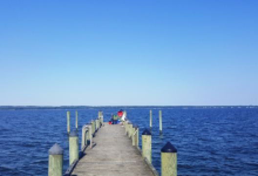 Greenwell State Park景点图片