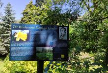 Wordsworth Daffodil Garden景点图片