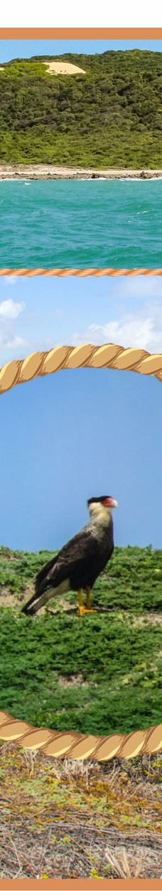 Jangalancha Show-纳塔尔