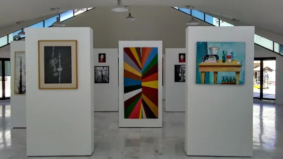 Museo de Arte de Nogales