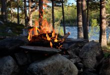 Stabbursdalen nasjonalpark景点图片