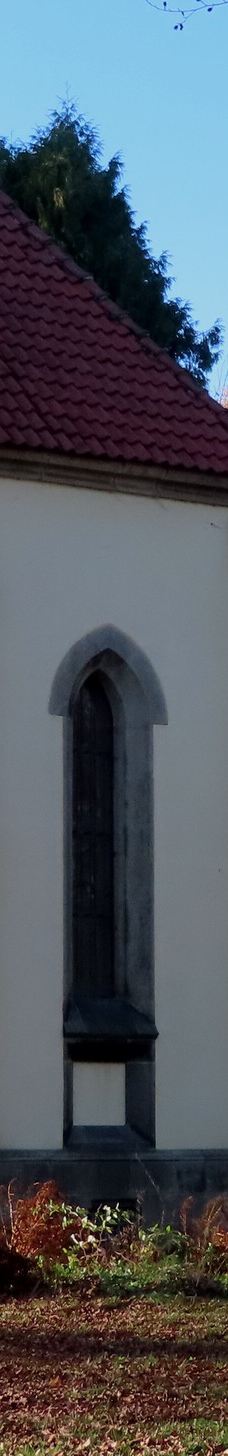 Tiergehege Waldhaus-莫尔斯多夫-泰希沃尔夫拉姆斯多夫