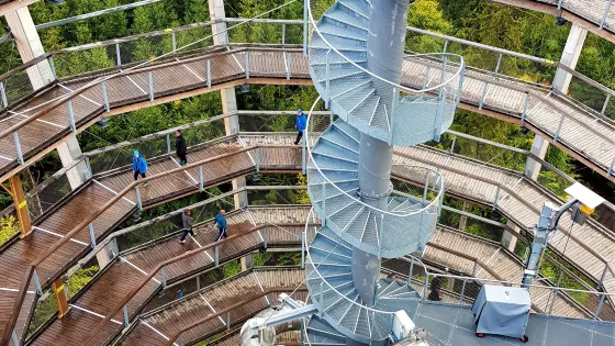 The Tree Top Trail
