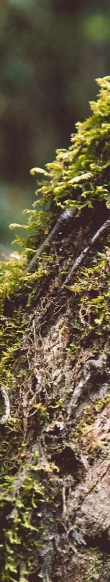 Granja La Cascada-La Frontera