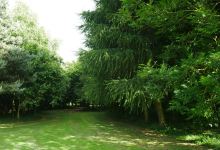 Millennium Arboretum景点图片