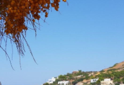 Panagia Gorgona景点图片