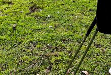 Dara driving range / Football (soccer) field.景点图片