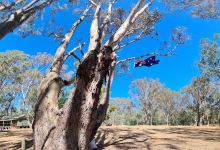 Moira Park Scout Camp景点图片