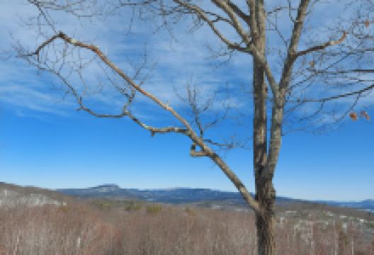 Whitten Woods Trailhead景点图片