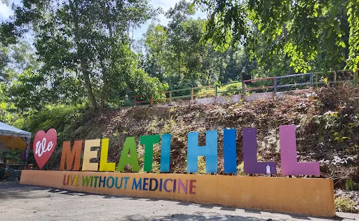 汝萊皇家山