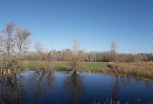 Réserve Naturelle Des Confines景点图片