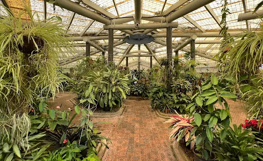 Orchid Display House