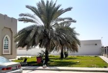 Al Dhaid Public Library景点图片