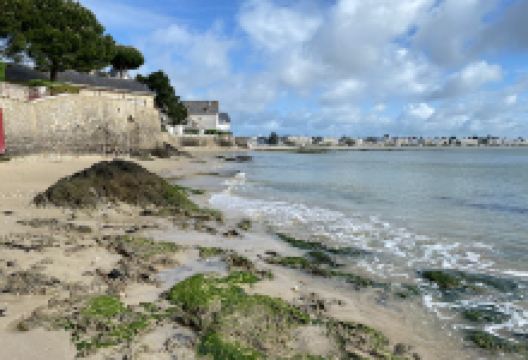 Penchâteau Cross景点图片