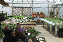 Busy Baskets Nursery购物图片