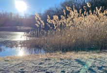 Morris Canal Park景点图片