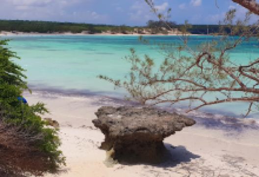 Baie des Pigeons景点图片