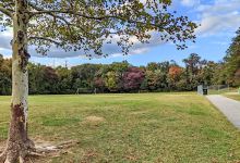 Cheverly Euclid Street Neighborhood Park景点图片