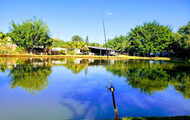 Recanto do Pirarara