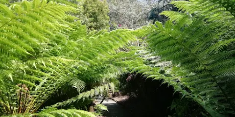 Ventnor Botanic Garden