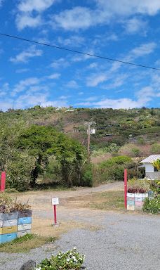 Big Island Bees-Honaunau-Napoopoo