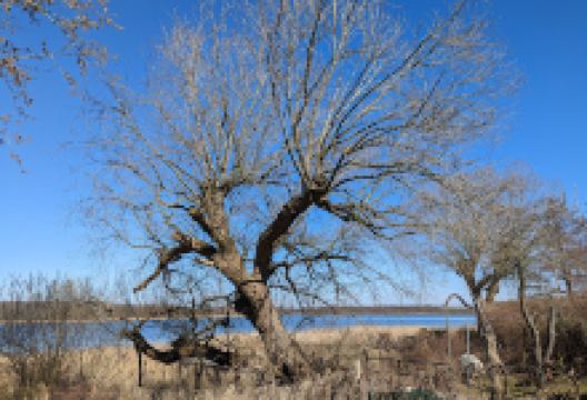Kulturscheune und Heimatstube Kähnsdorf景点图片