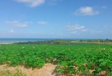 Primeira Igreja Batista de Caapoã - CBB景点图片