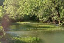 Station Camp Creek景点图片