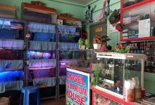 Angel Aquarium House景点图片