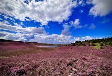 Harbottle Lake景点图片