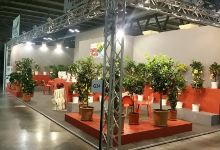 Sicilia Verde di GIAMBO'购物图片