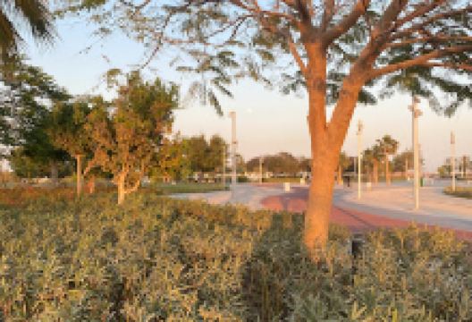 Al Janoub Stadium Park景点图片