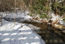 Sucker Brook Hollow Trail景点图片