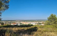 Quinta do Canavial餐厅图片