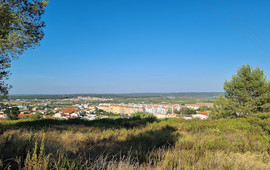 Quinta do Canavial