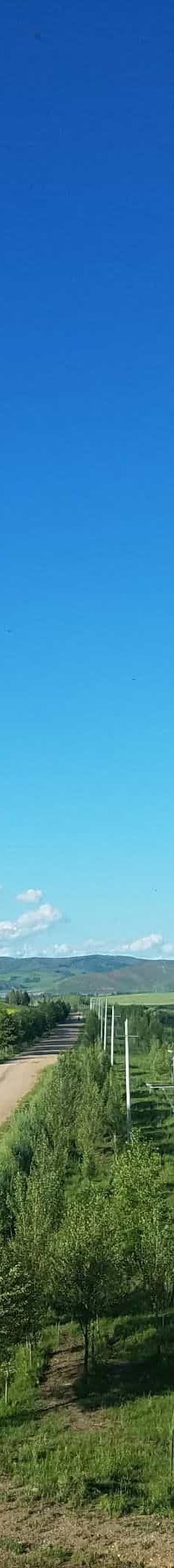 免渡河农场-文化广场-牙克石