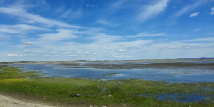 道老圖音查幹諾日