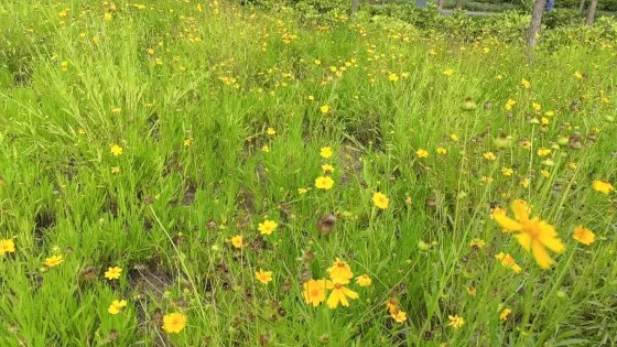 淅川崇德公園