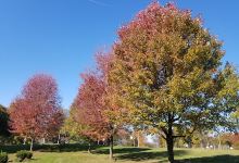 South Hills Park景点图片
