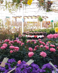 OFORNO GARDEN Valga-瓦尔加