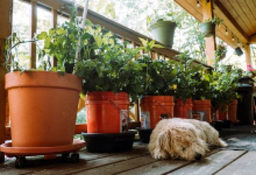 Willoughby Rescue景点图片