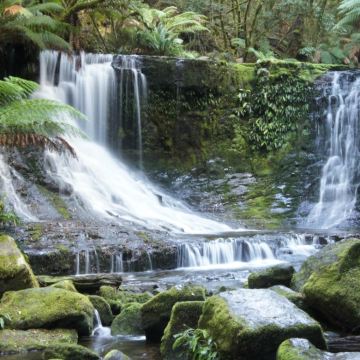澳大利亚塔斯马尼亚霍巴特6日5晚自由行