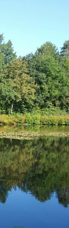 Parc des Gayeulles-雷恩