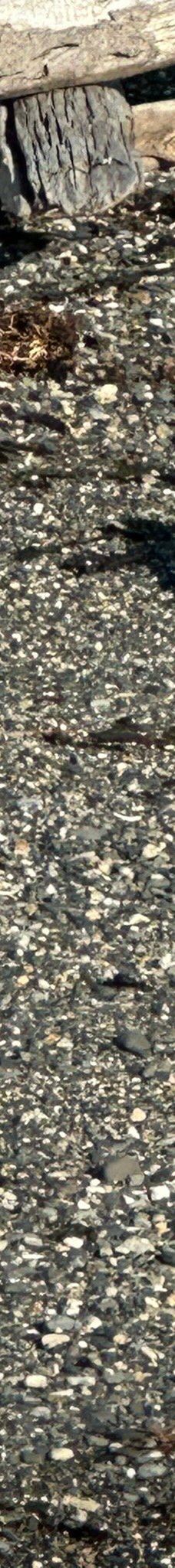 Isla Martillo-乌斯怀亚