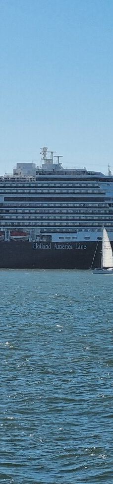 安琪儿岛-蒂伯龙