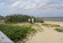 Salvo Beach景点图片